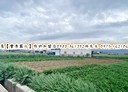 苑裡鎮-田心段土地，120坪
