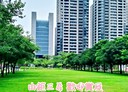 西屯區-市政路4房2廳，130.2坪
