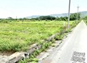 壽豐鄉-忠孝段土地，244.9坪
