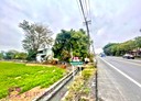 秀水鄉-番花路土地，393.3坪
