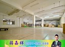 樹林區-新興街廠房，812.4坪