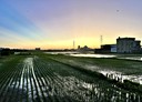 花壇鄉-土地，107.4坪