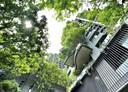 竹北市-光明六路東二段3房2廳，106.4坪