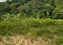 中寮鄉-土地，3589.5坪