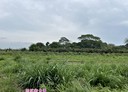 玉井區-芒子芒段土地，1648.3坪