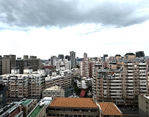 大墩學區高樓層景觀2房平面車位可寵禁菸 - Image 11