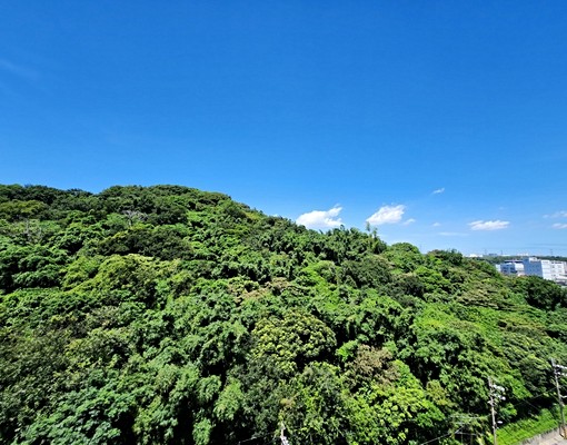 🙋社會住宅/尖山國中/可租補/車位另租 - Image 10