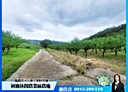 卑南鄉-嘉豐產業道路土地，712.1坪