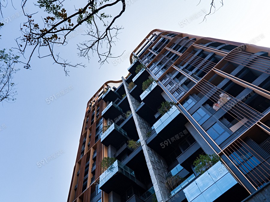 御上天母實景圖