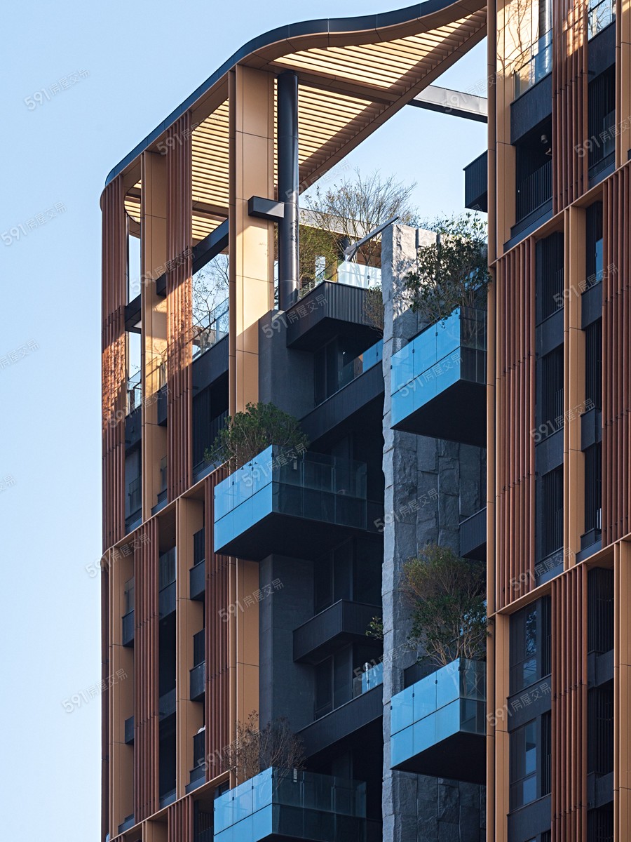 御上天母實景圖