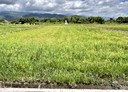 員山鄉-賢德路二段土地，851坪