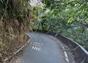 鹿谷鄉-南坪巷土地，2881坪