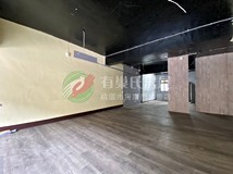頂興路**絕對秒殺**近未來棕..