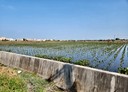 大安區-土地，1050坪