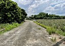 大樹區-土地，463.4坪