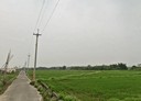 新豐鄉-崁頭段土地，5489.7坪