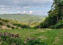 三義鄉-土地，18000坪