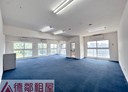 新店區-安興路開放式格局，35.8坪