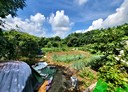 大溪區-三層段土地，576.5坪