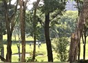 淡水區-新民街4房2廳，82.5坪