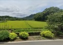 大溪區-三層段土地，162.1坪