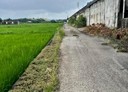 苗栗市-土地，573坪