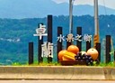 卓蘭鎮-西坪段土地，1821.4坪
