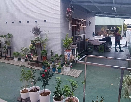 電梯華廈頂加,陽光大庭院 - Image 14