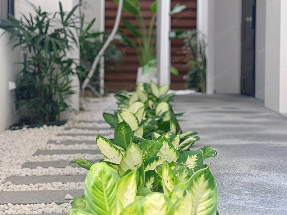 房屋圖片