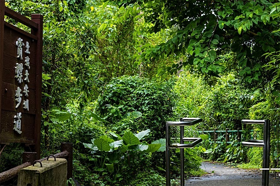 緊鄰大安圳賞蝶步道自然生態環境