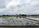 五結鄉-土地，761.1坪