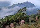 南庄鄉-土地，712.1坪