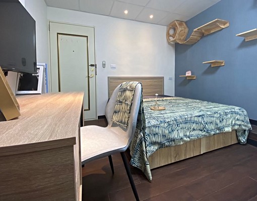 益民路學區可寵大套 - 591租屋網 - Image 1