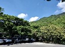 獅子鄉-土地，13099坪