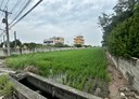 花壇鄉-口庄段土地，732坪
