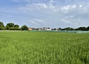 二崙鄉-紹安路土地，785.9坪