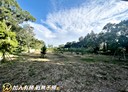 竹南鎮-土地，805.5坪