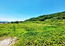 金山區-永興段土地，1333.5坪