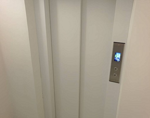 東區全新電梯房,可租補,不接抽菸/養寵物 - Image 4