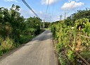 大溪區-南興段土地，829.2坪