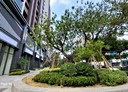 北屯區-敦富路3房2廳，46.7坪