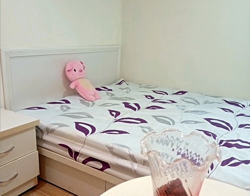 府中大套房1房1廳2對外窗(可租補) - Image 2