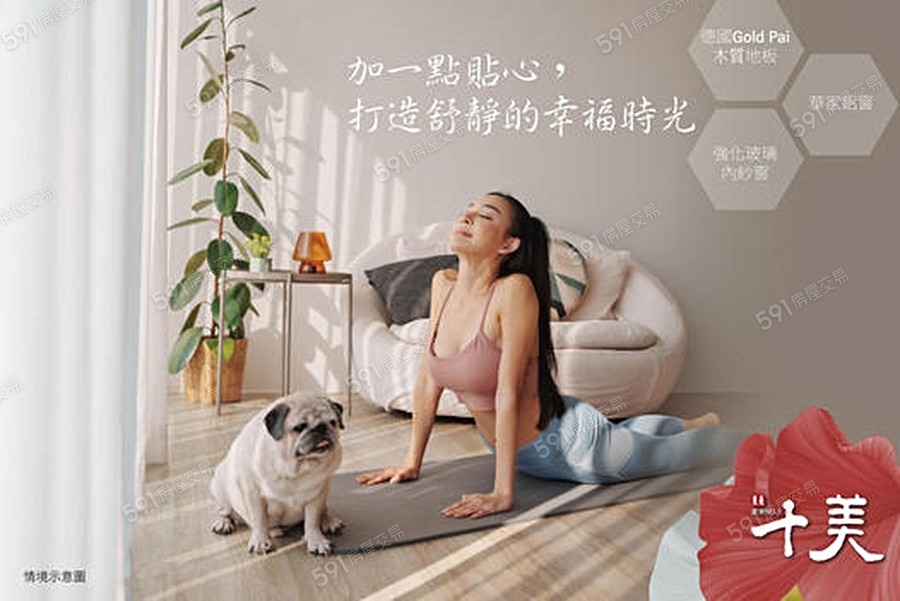 東展十美宣傳圖