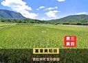 富里鄉-土地，1517坪