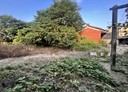 林內鄉-土地，146.3坪