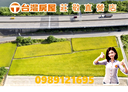 後龍鎮-土地，496.1坪