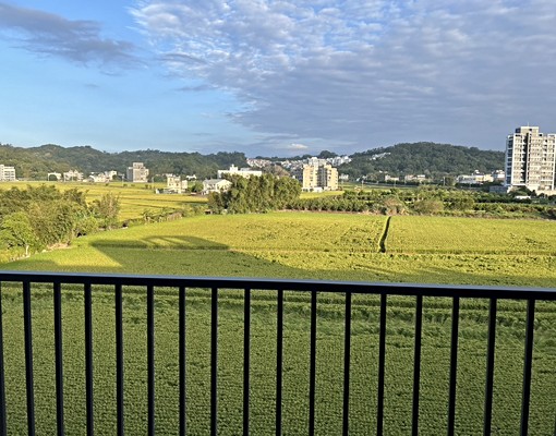 金獅重劃區-四房透天美屋出租(可補租報稅) - Image 11