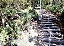 內湖區-土地，150.8坪