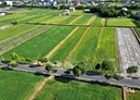 三星鄉-土地，1235.6坪