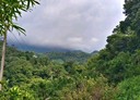 大湖鄉-土地，1730坪